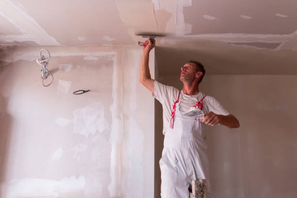 Candlewick Lake, IL Drywall and Painting Service Company